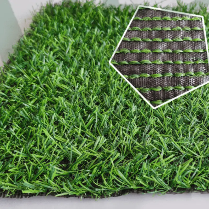 三色春草无背2cm加密